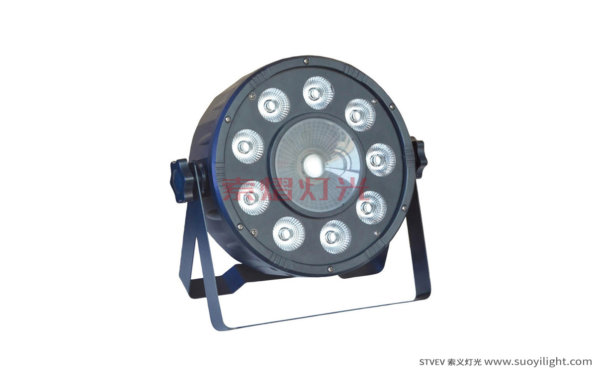 Los-Angeles9+1 LED Plastic Par Light