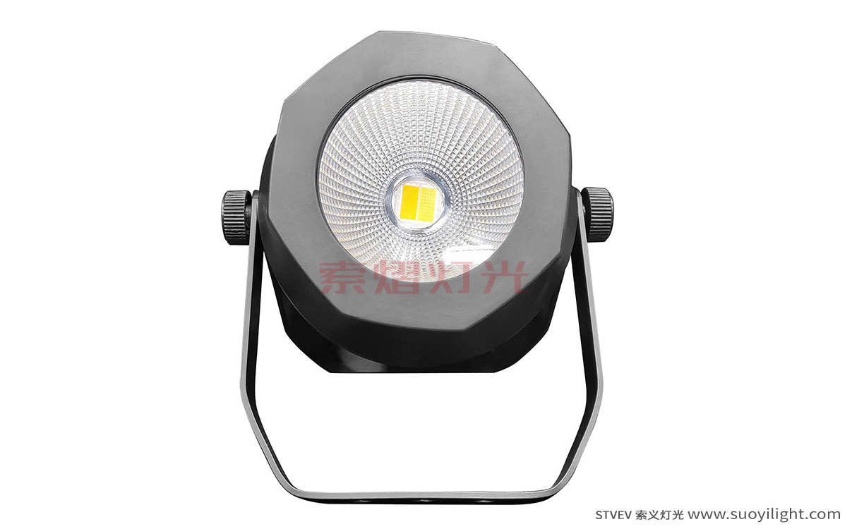 Los-Angeles200W Waterproof COB Par Light